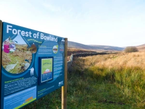 Property image 8 for SC935618