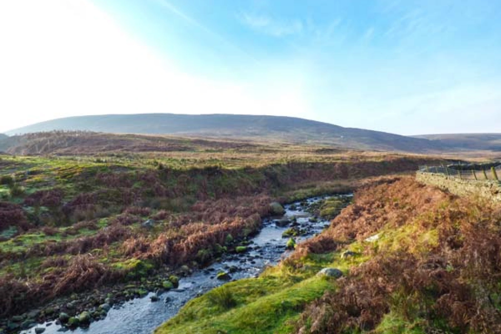 Property image 9 for SC935618