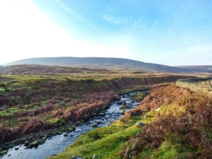 Property image 9 for SC935618