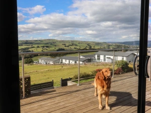 Property image 3 for SC941083