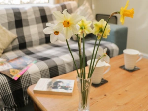 Property image 5 for SC942085