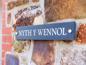 Nyth Y Wennol