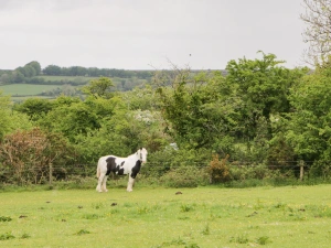 Property image 2 for SC952016