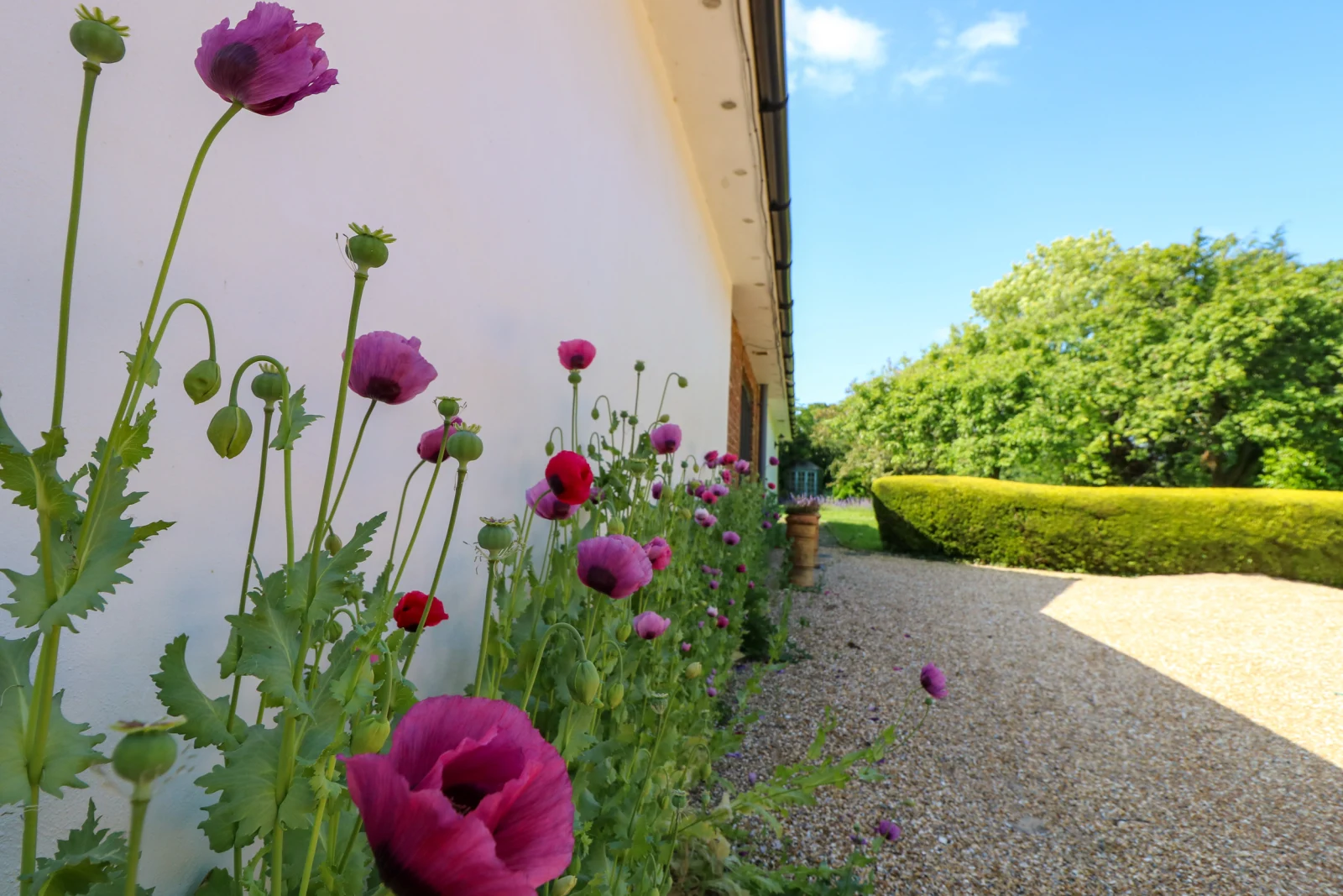 Property image 3 for SC953419