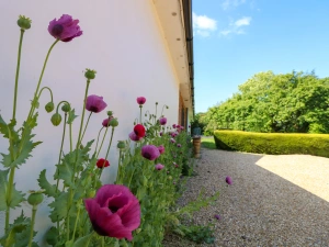 Property image 3 for SC953419
