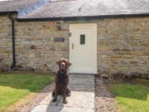 Property image 3 for SC954603