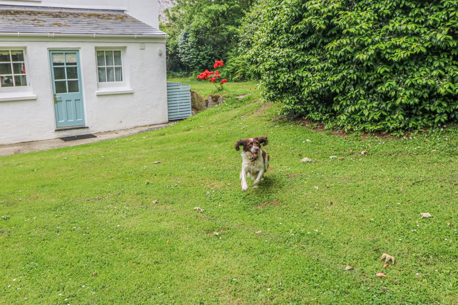 Property image 4 for SC959392