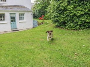Property image 4 for SC959392