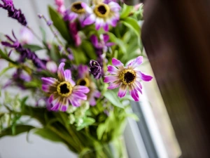 Property image 6 for SC959858