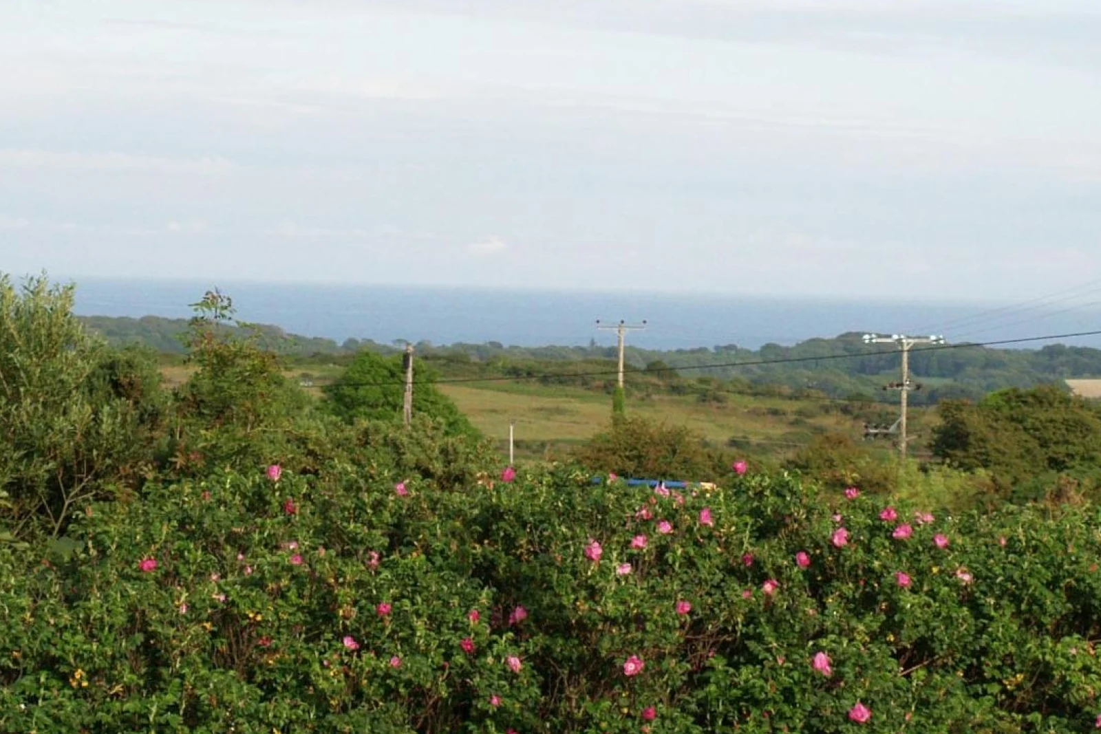 Property image 2 for SC959964
