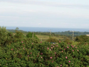 Property image 2 for SC959964