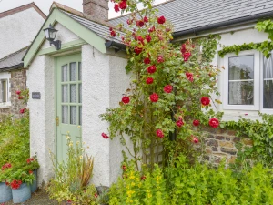 Property image 3 for SC960111