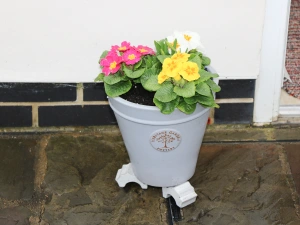Property image 2 for SC962748