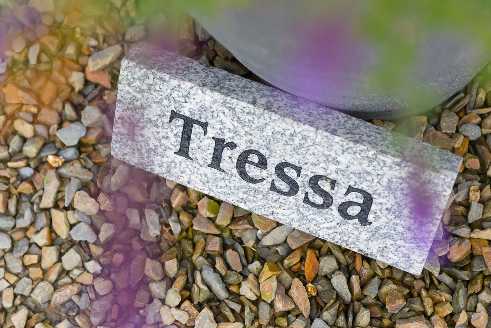 Property image 3 for SC962968