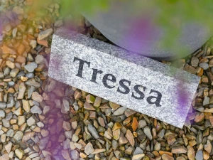 Property image 3 for SC962968