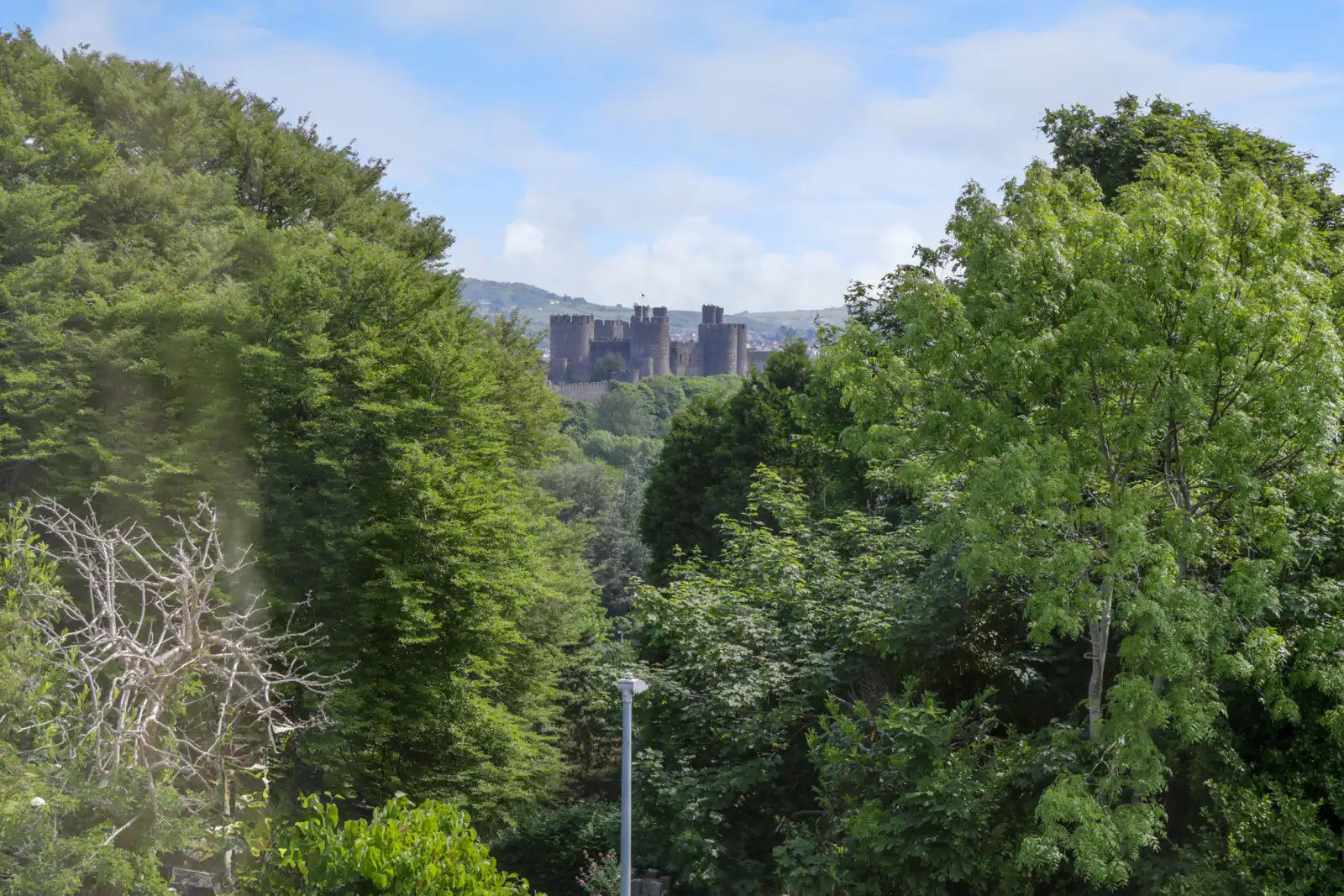 Property image 3 for SC964324