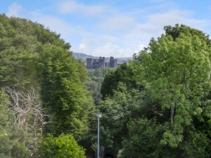 Property image 3 for SC964324