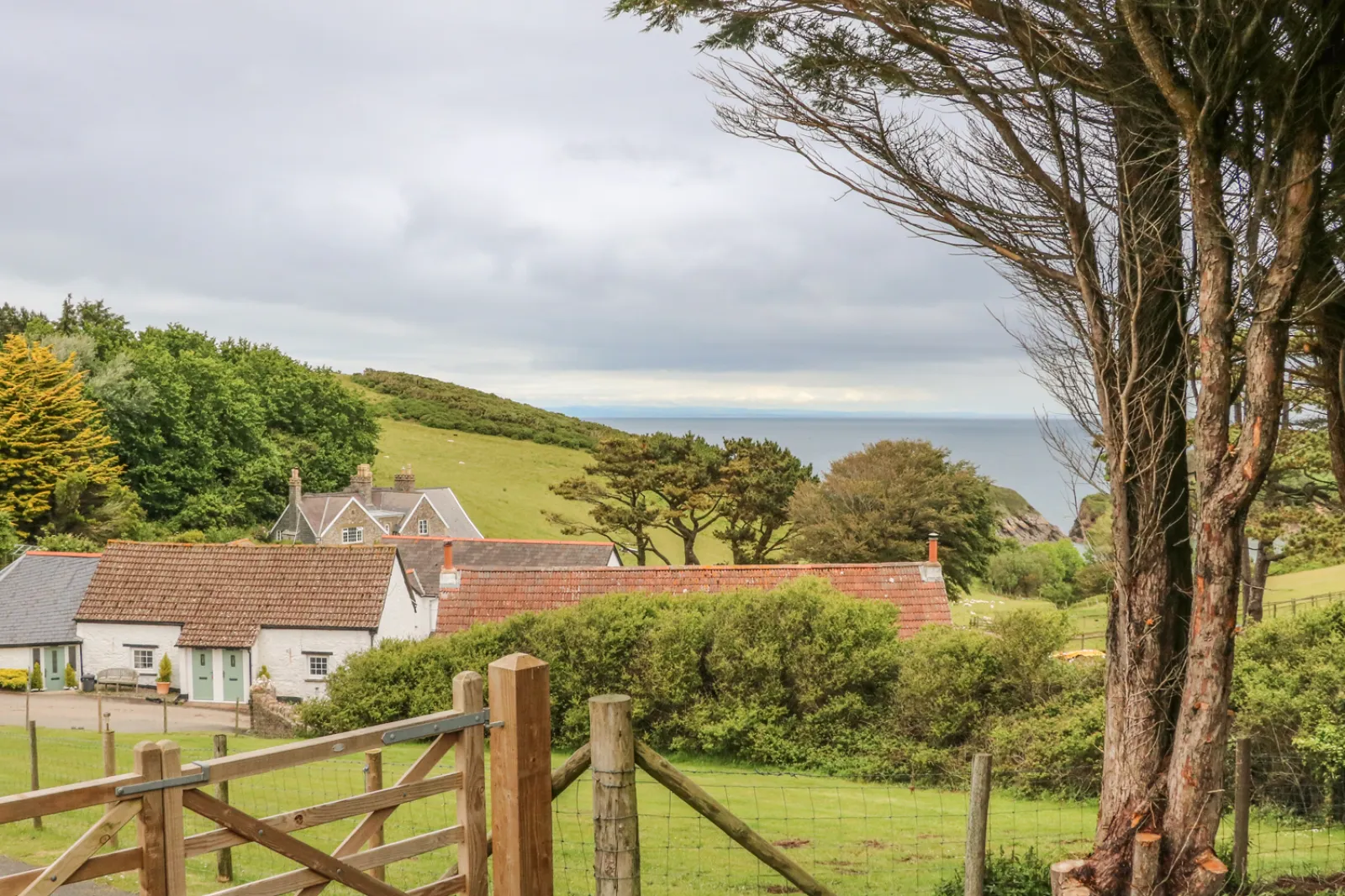 Property image 1 for SC971299