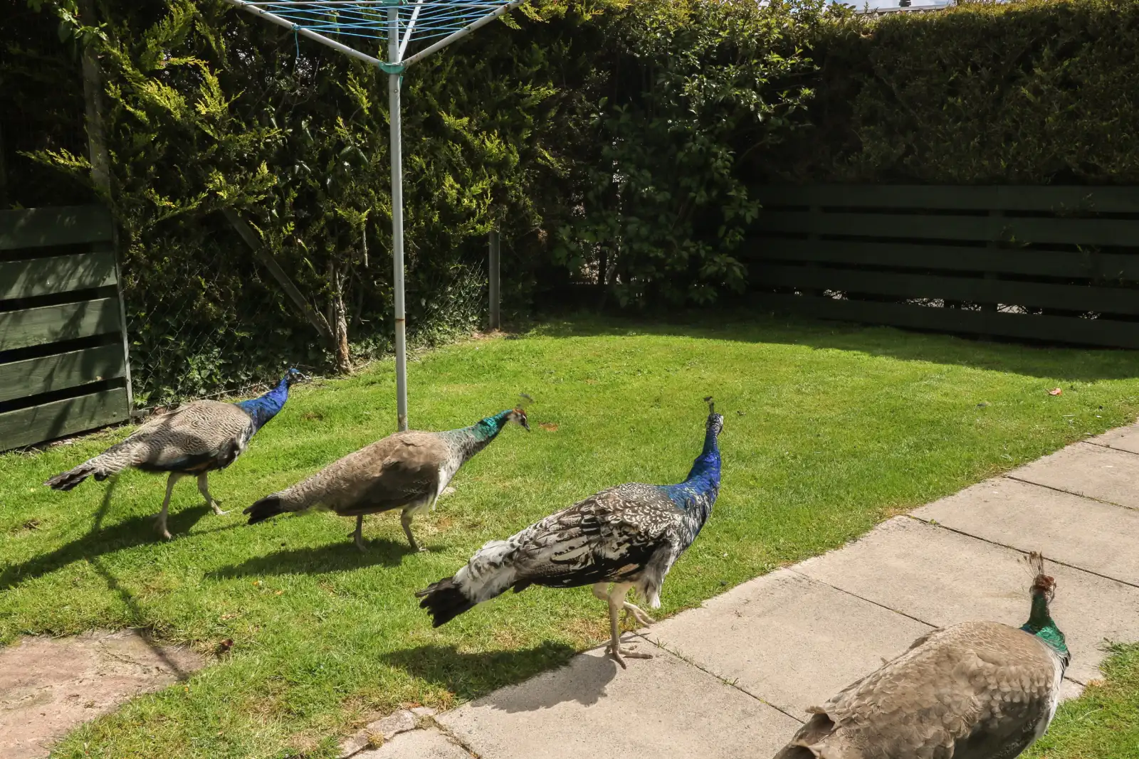 Property image 2 for SC971518