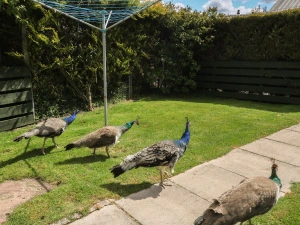 Property image 2 for SC971518