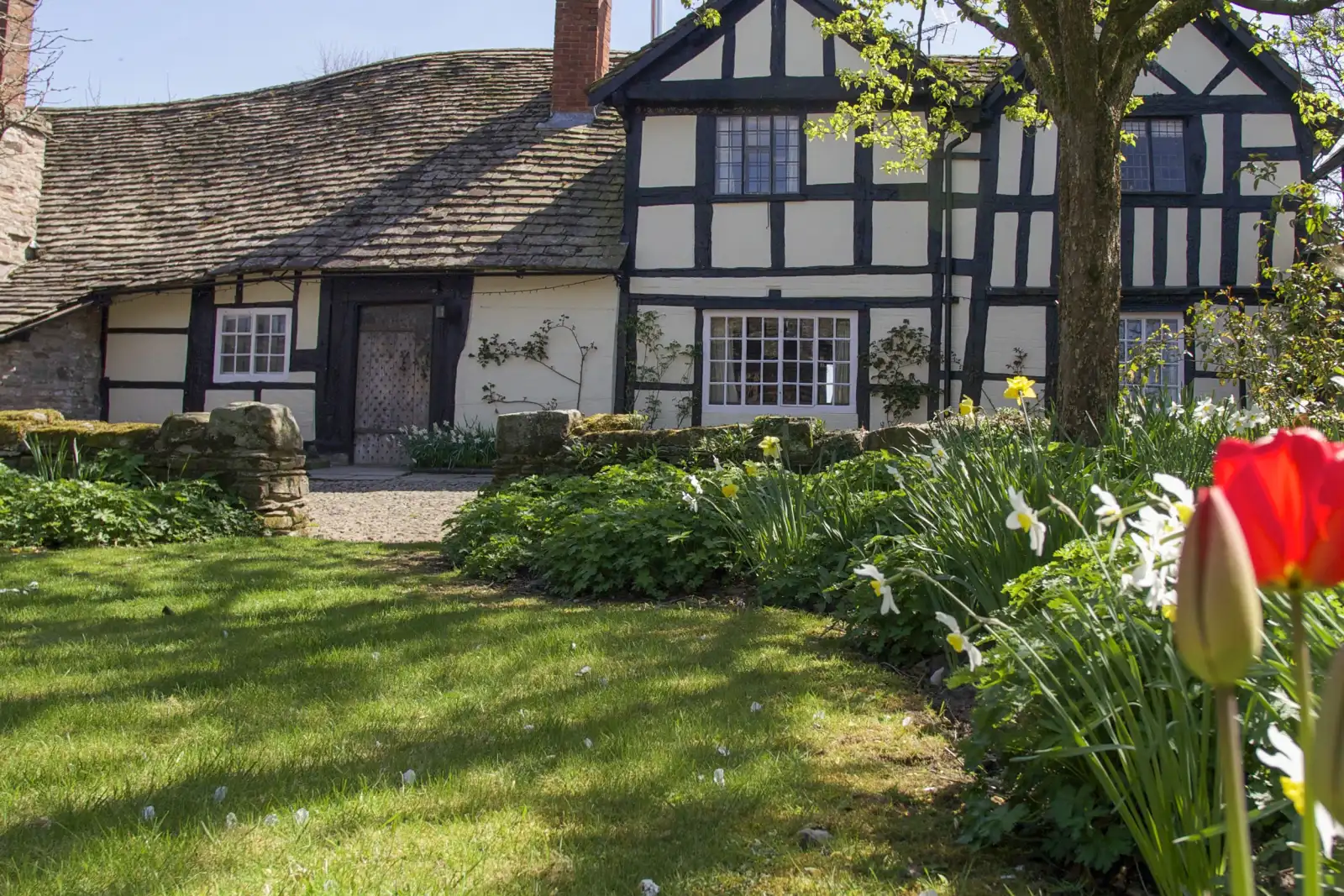 Property image 2 for SC971659