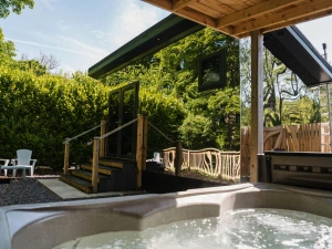 Property image 2 for SC973959