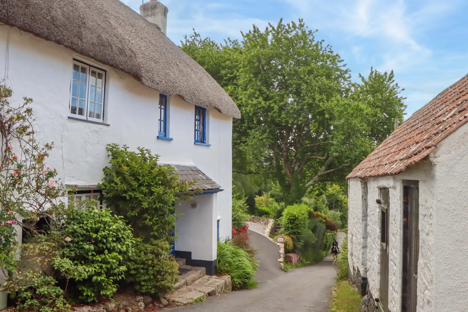 Property image 1 for SC975883