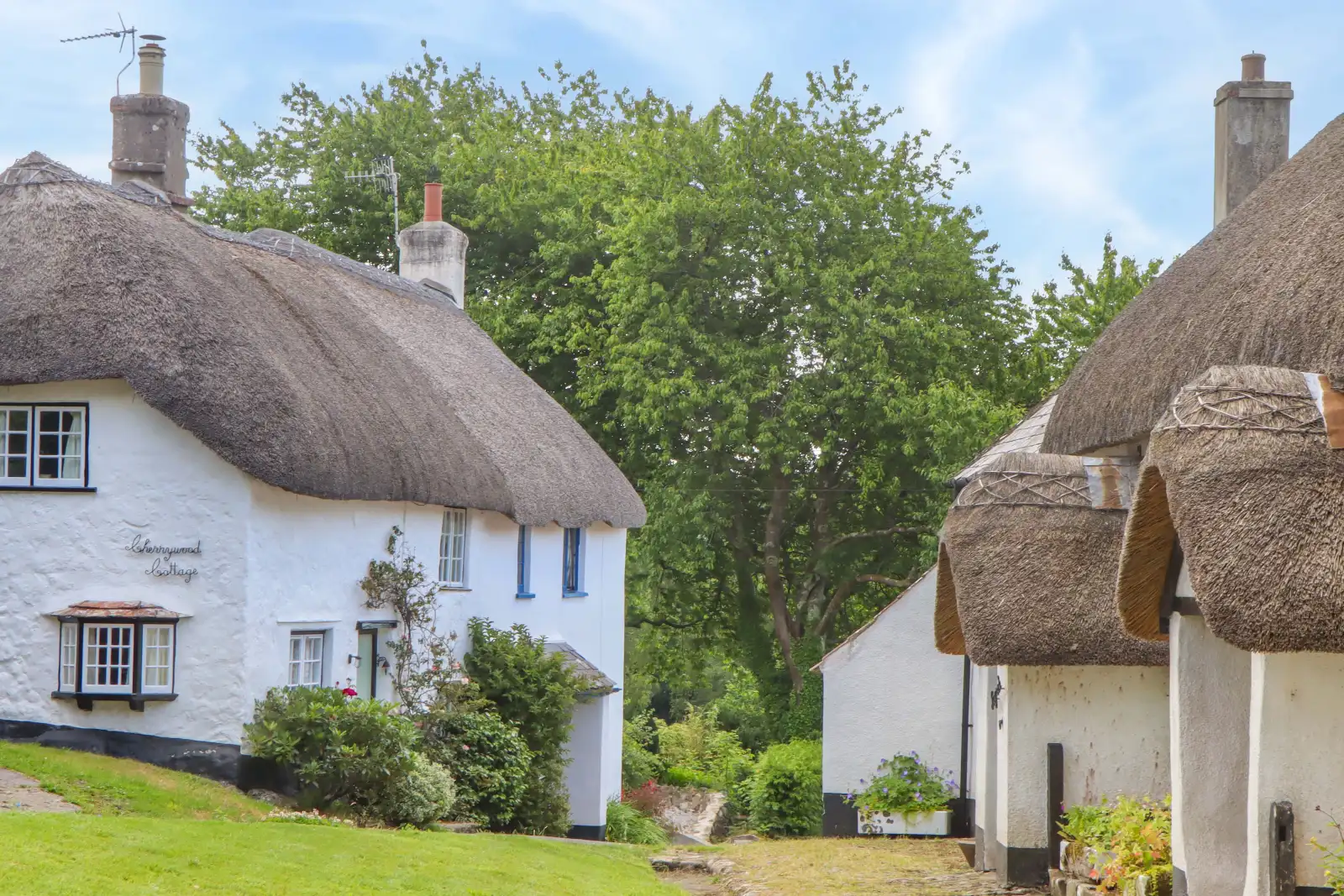 Property image 2 for SC975883