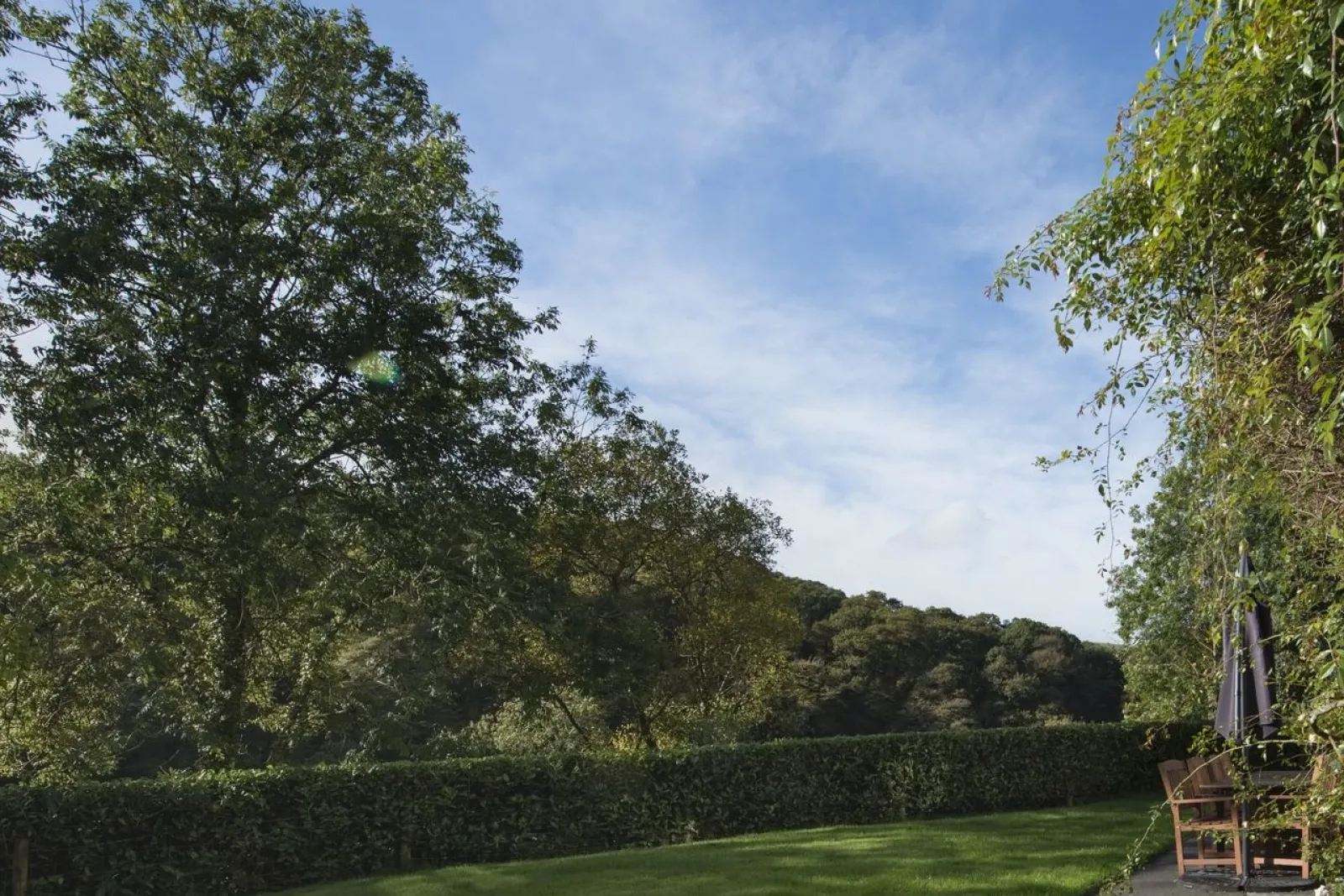 Property image 3 for SC975955