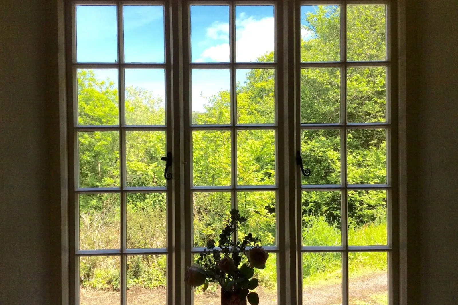 Property image 5 for SC975966