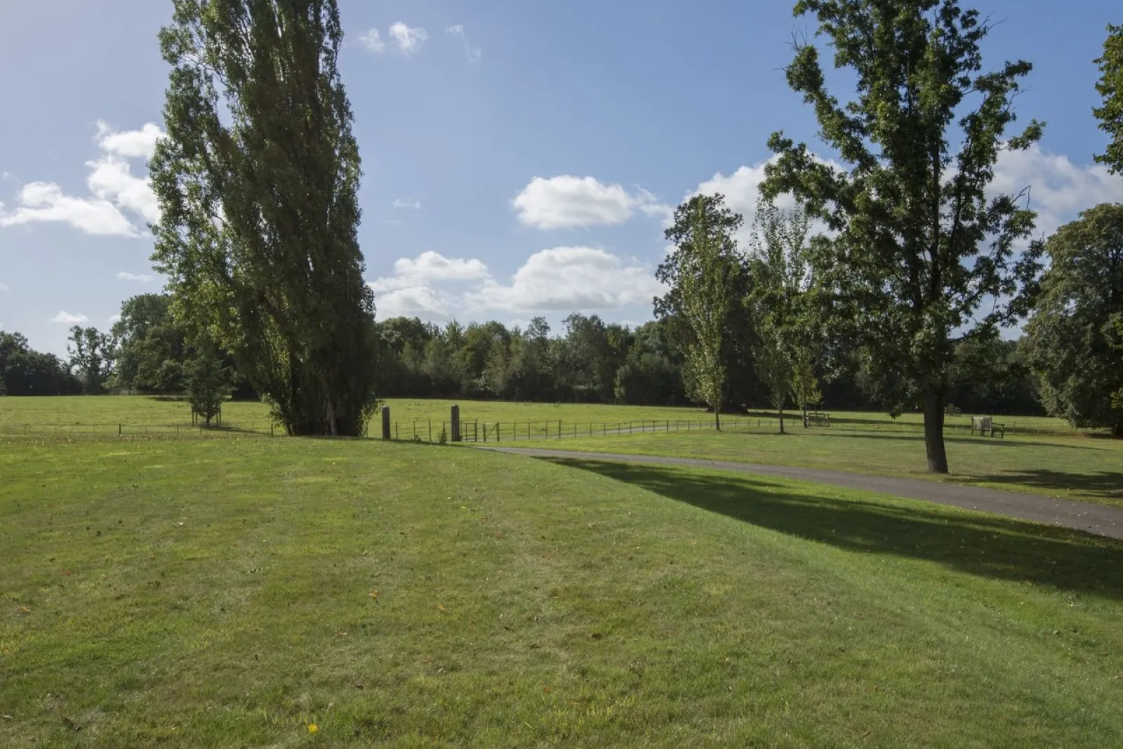 Property image 5 for SC975997