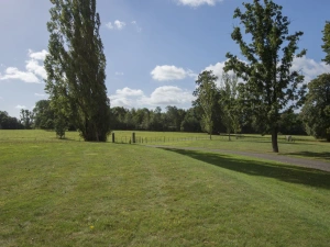 Property image 5 for SC975997