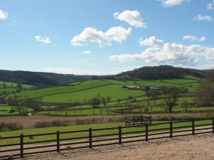 Property image 3 for SC976020