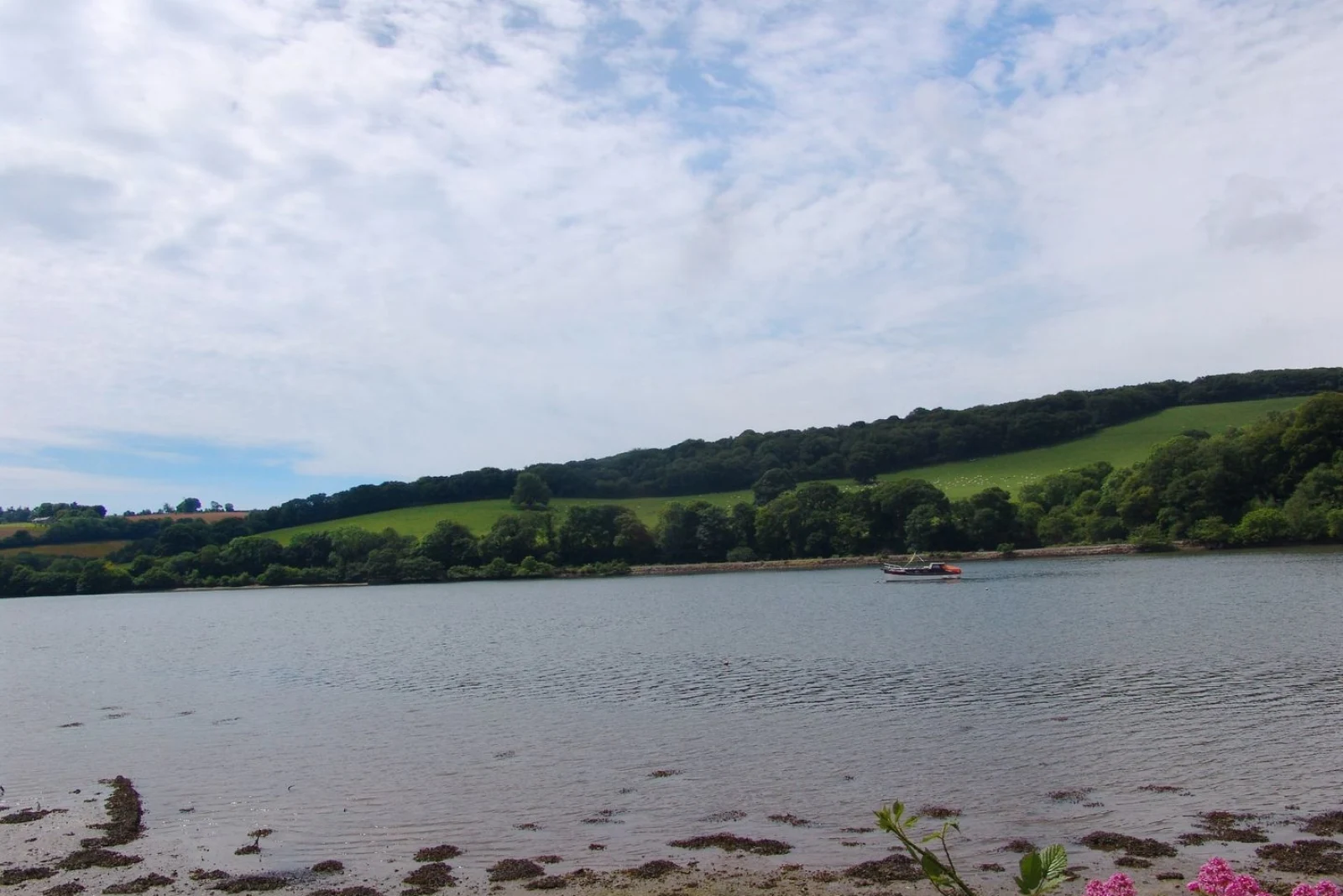Property image 3 for SC976403