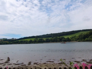Property image 3 for SC976403