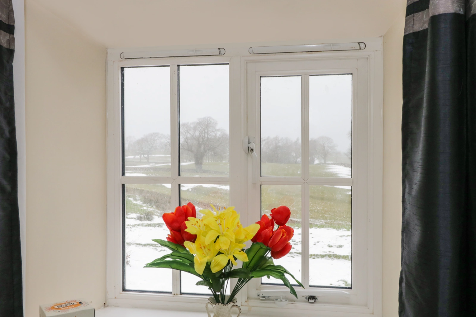 Property image 6 for SC976821