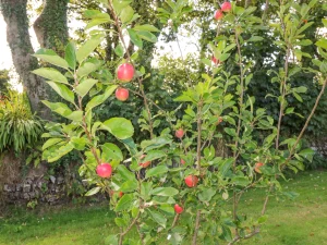 Property image 3 for SC976862