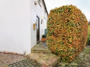 Property image 2 for SC977019