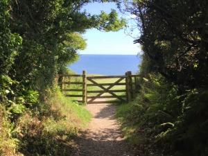 Property image 5 for SC981233