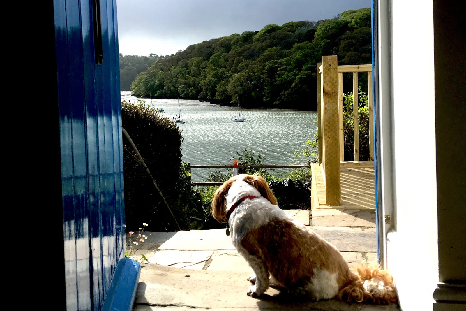 Property image 5 for SC981922