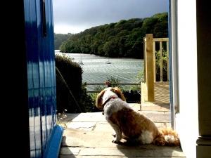 Property image 5 for SC981922