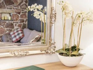 Property image 8 for SC983071
