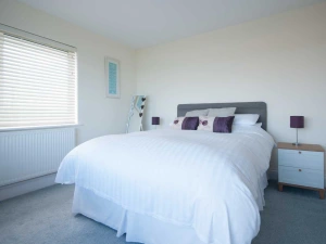 Property image 8 for SC983149