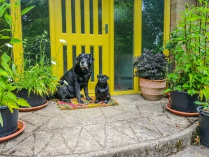Property image 3 for SC986578