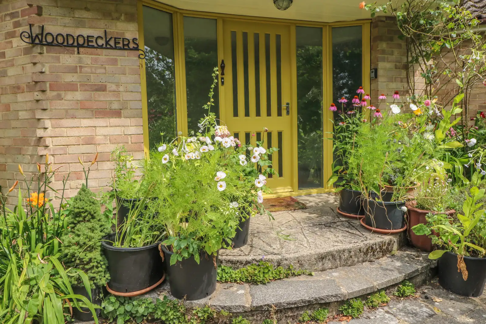 Property image 2 for SC986578