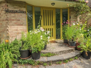 Property image 2 for SC986578