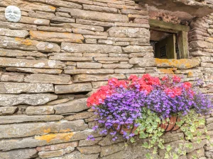 Property image 3 for SC987898