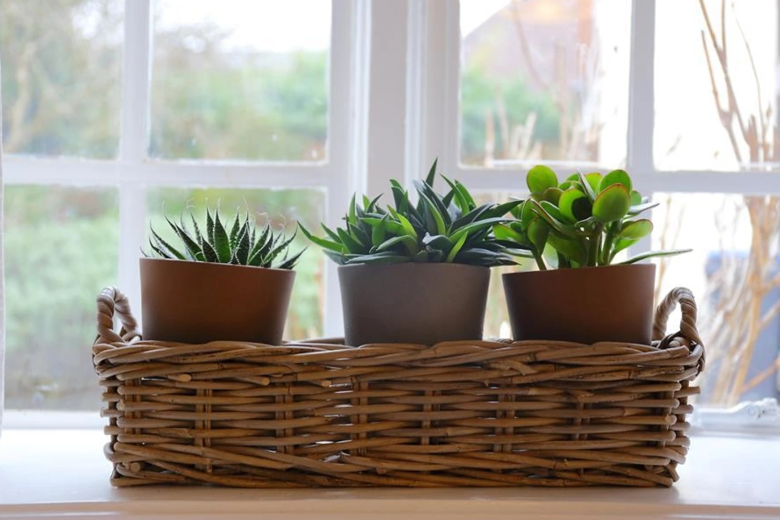 Property image 8 for SC988770