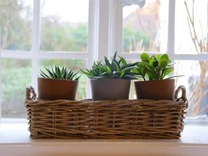 Property image 8 for SC988770