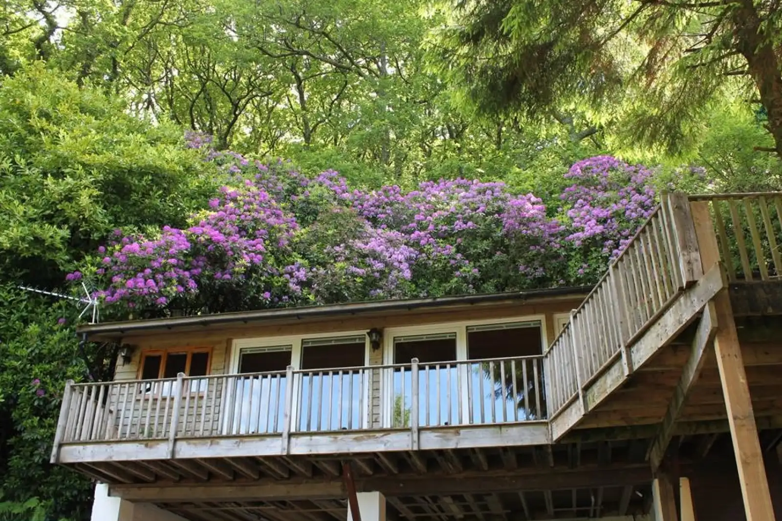 Property image 3 for SC988920